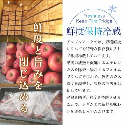 【ふるさと納税】葉とらずサンふじ 厳選 小玉 約3kg ご家庭用りんご(訳あり) 青森県産リンゴ 青森林檎_ りんご リンゴ 林檎 サンふじ 葉とらず 小玉 訳あり 家庭用 青森県産 果物 フルーツ 美味しい 人気 送料無料 【配送不可地域：離島・沖縄県】【1278838】 サムネイル3