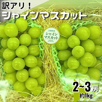 【訳あり】シャインマスカット2～3房　約1kg【配送不可地域：離島・沖縄県】【1454125】