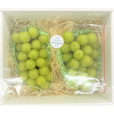 【ふるさと納税】【訳あり】シャインマスカット2～3房　約1kg【配送不可地域：離島・沖縄県】【1454125】 サムネイル2