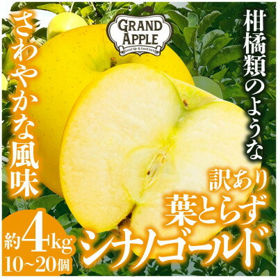 シナノゴールド　訳あり　約4kg(10～20個)【配送不可地域：離島・沖縄県】【1552668】