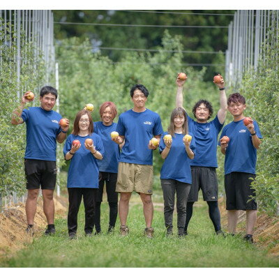【ふるさと納税】シナノゴールド　訳あり　約4kg(10～20個)【配送不可地域：離島・沖縄県】【1552668】 サムネイル2