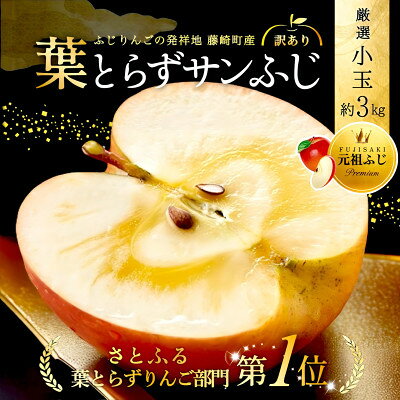 [年明け発送] 葉とらずサンふじ 厳選 小玉 約3kg ご家庭用(訳あり) 青森県産リンゴ【配送不可地域：離島・沖縄県】【1687732】