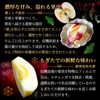 【ふるさと納税】[年明け発送] 葉とらずサンふじ 厳選 小玉 約3kg ご家庭用(訳あり) 青森県産リンゴ【配送不可地域：離島・沖縄県】【1687732】 サムネイル2