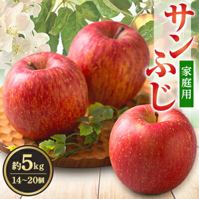 サンふじ 家庭用 約5kg(14～20個)【配送不可地域：離島・沖縄県】【1240457】