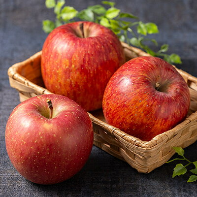 【ふるさと納税】サンふじ 家庭用 約3kg(8～12個)【配送不可地域：離島・沖縄県】【1240453】 サムネイル2