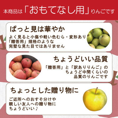 【ふるさと納税】平均糖度13度以上! 葉とらずサンふじ 約10kg おもてなし用【配送不可地域：離島・沖縄県】【1667873】 サムネイル3