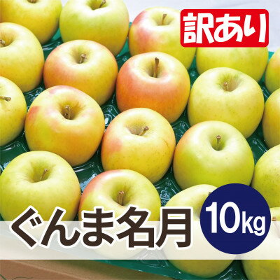 平均糖度13度以上! ぐんま名月 約10kg 訳あり【配送不可地域：離島・沖縄県】【1667960】