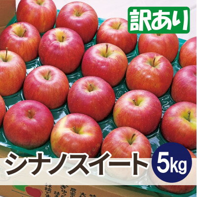 平均糖度13度以上! シナノスイート 約5kg 訳あり【配送不可地域：離島・沖縄県】【1667962】