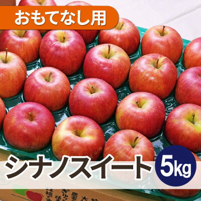 平均糖度13度以上! シナノスイート 約5kg おもてなし用【配送不可地域：離島・沖縄県】【1667964】