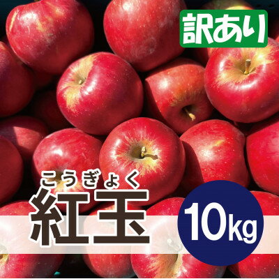 紅玉 約10kg 訳あり【配送不可地域：離島・沖縄県】【1667972】