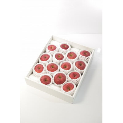 【ふるさと納税】青森県産りんご「サンふじ」贈答用　約5kg【1635386】 サムネイル2