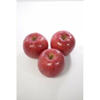 【ふるさと納税】青森県産りんご「サンふじ」贈答用　約5kg【1635386】 サムネイル3