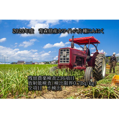 【ふるさと納税】青森県産ホワイト六片種にんにく 1kg 大玉 (贈答用)【1635387】 - 画像2