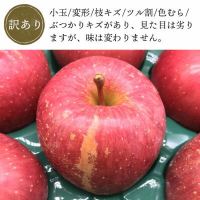 【ふるさと納税】青森県産「サンふじ」家庭用　訳あり 光センサー選果済　約3kg【1635391】 サムネイル2