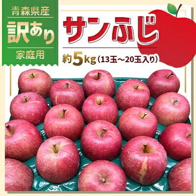 青森県産「サンふじ」家庭用　訳あり 光センサー選果済　約5kg【1635392】
