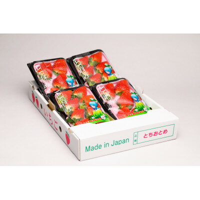 【ふるさと納税】田舎館村産いちご とちおとめ 贈答用【配送不可地域：離島】【1637903】 サムネイル2