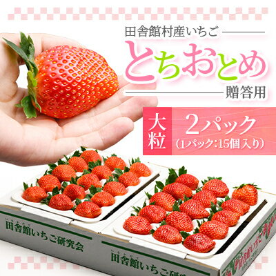 田舎館村産いちご とちおとめ【大粒】 贈答用【配送不可地域：離島】【1637919】