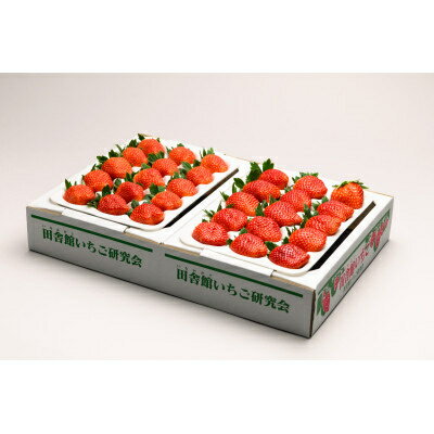 【ふるさと納税】田舎館村産いちご とちおとめ【大粒】 贈答用【配送不可地域：離島】【1637919】 サムネイル2
