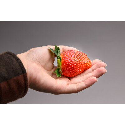 【ふるさと納税】田舎館村産いちご とちおとめ【大粒】 贈答用【配送不可地域：離島】【1637919】 サムネイル3