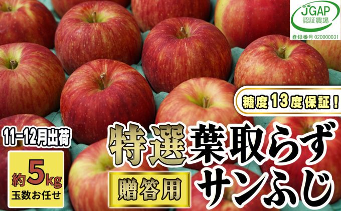 【ふるさと納税】11～12月発送【 糖度保証 】 贈答用 葉取らず サンふじ 約 5kg 【 特選 】鶴翔りんごGAP部会 青森県産 津軽産 リンゴ 林檎 果物類 高糖度 ギフト 　お届け：2025年11月20日～2025年12月25日 サムネイル2