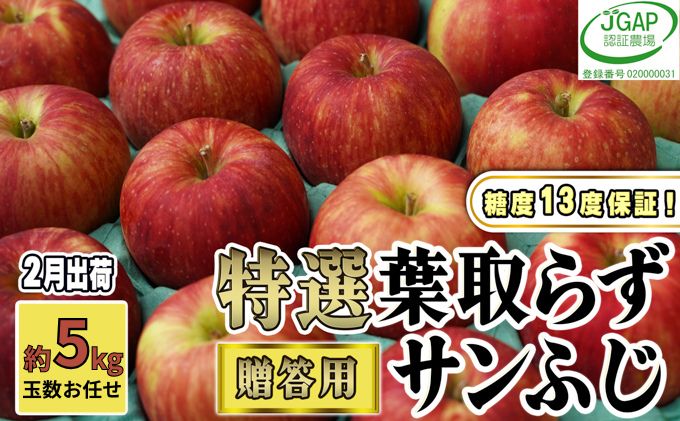 【ふるさと納税】2月発送【 糖度保証 】贈答用 葉取らず サンふじ 約 5kg 【 特選 】鶴翔りんごGAP部会 青森県産 津軽産 リンゴ 林檎 果物 JGAP認証 安心 丸かじり 甘い 高糖度 ギフト 　お届け：2026年2月1日～2026年2月25日 サムネイル2