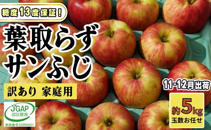 【ふるさと納税】11～12月発送【 糖度保証 】家庭用 葉取らず サンふじ 約 5kg【 訳あり 】鶴翔りんごGAP部会 青森県産 津軽産 リンゴ 林檎 果物 フルーツ デザート 甘味 酸味 食感 　お届け：2025年11月20日～2025年12月25日 サムネイル2