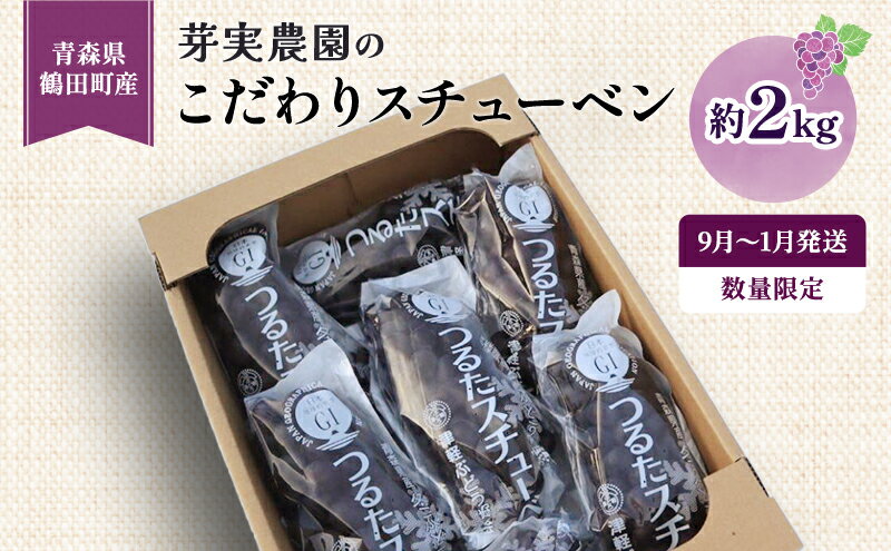 【ふるさと納税】【 数量限定 】芽実農園 農家直送 スチューベン 約 2kg【 9月 ～ 1月発送 】青森県鶴田町産 果物 フルーツ ぶどう おやつ デザート 食後 冬ぶどう 　お届け：2025年9月15日～2026年1月31日 サムネイル2