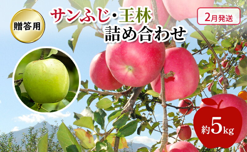 【ふるさと納税】りんご 【 2月発送 】 贈答用 サンふじ ・ 王林 詰め合わせ 約 5kg　お届け：2026年2月1日～2026年2月27日 サムネイル2