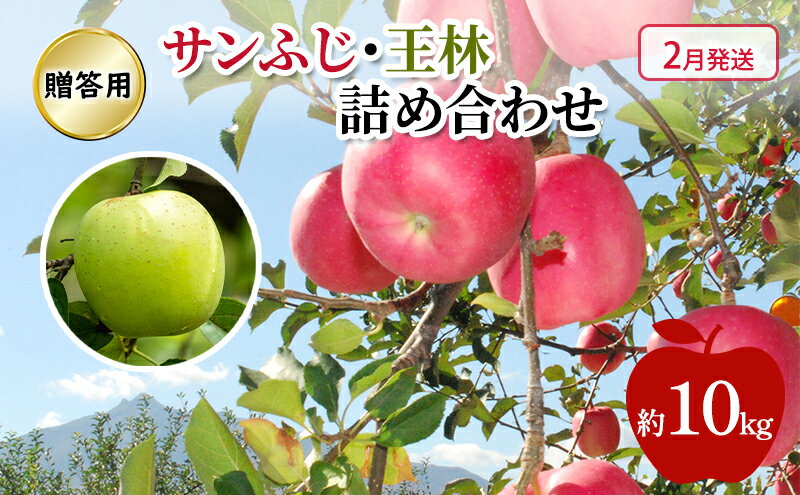 【ふるさと納税】りんご 【 2月発送 】 贈答用 サンふじ ・ 王林 詰め合わせ 約 10kg　お届け：2026年2月1日～2026年2月27日 サムネイル2