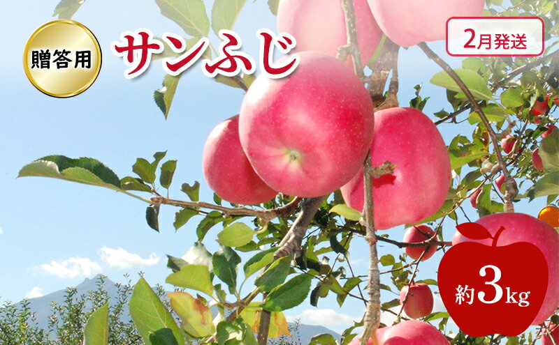 【ふるさと納税】りんご 【 2月発送 】 贈答用 サンふじ 約 3kg　お届け：2026年2月1日～2026年2月27日 サムネイル2