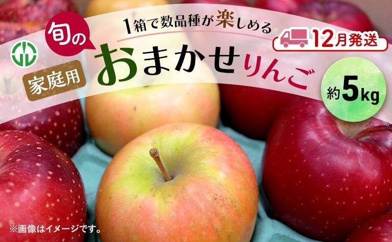 【ふるさと納税】りんご 【 12月発送 】 家庭用 旬のりんご 品種おまかせ 約 5kg 2品種～4品種　お届け：2025年12月1日～2025年12月26日 サムネイル2