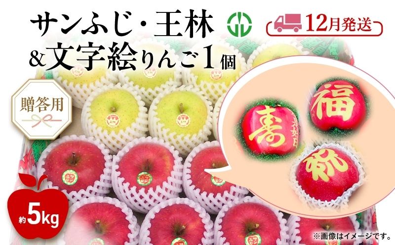 【ふるさと納税】りんご 【 12月発送 】 贈答用 サンふじ ・ 王林 ＋ 文字絵入りりんご1個 約 5kg　お届け：2025年12月1日～2025年12月26日 サムネイル2