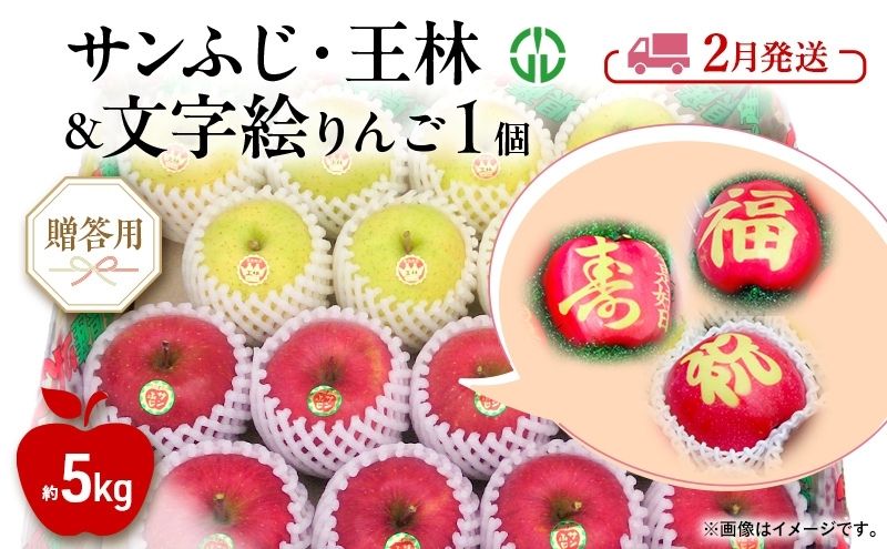 【ふるさと納税】りんご 【 2月発送 】 贈答用 サンふじ ・ 王林 ＋ 文字絵入りりんご1個 約 5kg　お届け：2026年2月1日～2月26日まで サムネイル2