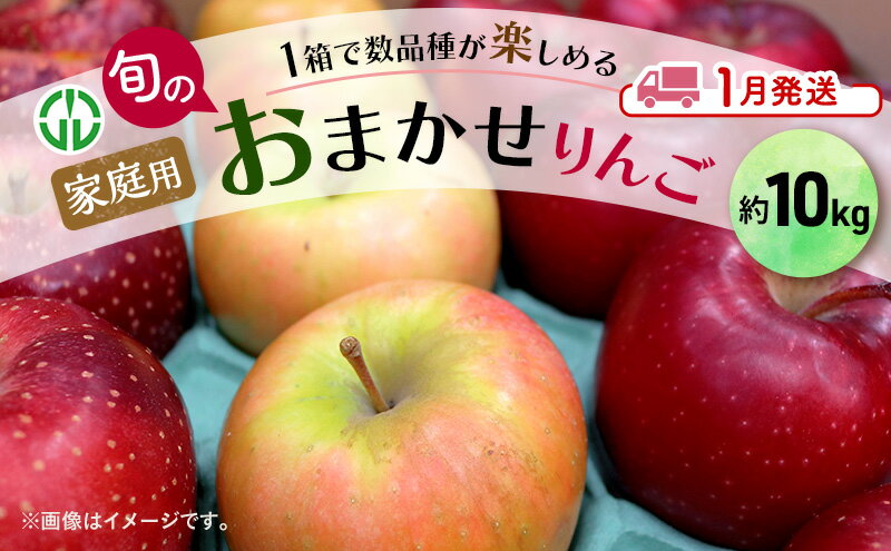【ふるさと納税】りんご 【 1月発送 】 家庭用 旬のりんご 品種おまかせ 約 10kg 2品種～5品種 果物類 フルーツ 林檎 リンゴ 鶴田町 青森県 おやつ デザート　お届け：2026年1月6日～2026年1月30日 サムネイル2