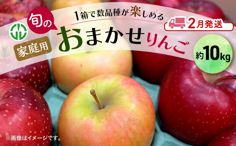 【ふるさと納税】りんご 【 2月発送 】 家庭用 旬のりんご 品種おまかせ 約 10kg 2品種～5品種 果物類 フルーツ 林檎 リンゴ 鶴田町 青森県 おやつ デザート　お届け：2026年2月1日～2026年2月27日 サムネイル2