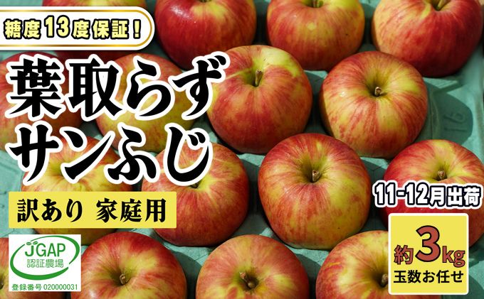 【ふるさと納税】11～12月発送【 糖度保証 】家庭用 葉取らず サンふじ 約 3kg【 訳あり 】鶴翔りんごGAP部会 青森県産 津軽産 リンゴ 林檎 果物 フルーツ デザート 甘味 酸味 食感　お届け：2025年11月20日～2025年12月25日 サムネイル2