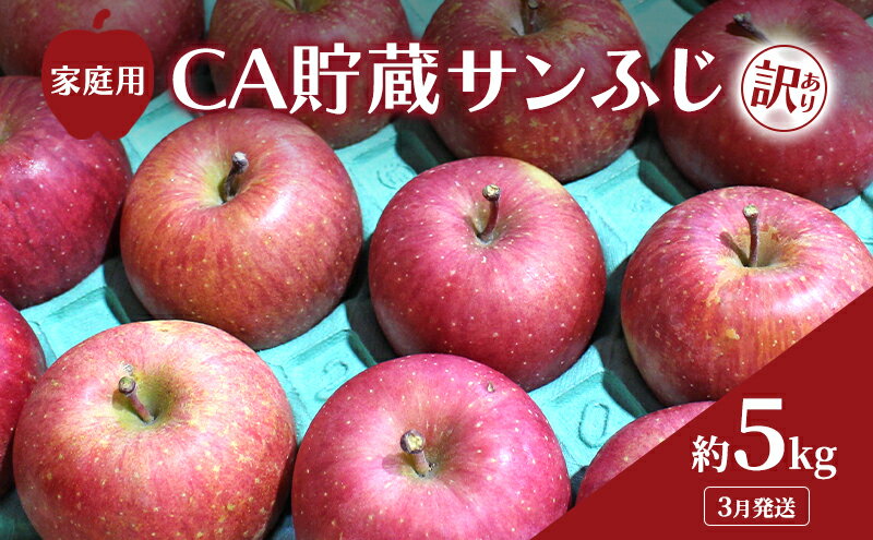 【ふるさと納税】3月発送 家庭用 訳あり CA貯蔵 サンふじ 約 5kg りんご リンゴ 林檎 果物 フルーツ わけあり 青森　お届け：2026年3月1日～2026年3月15日 サムネイル2