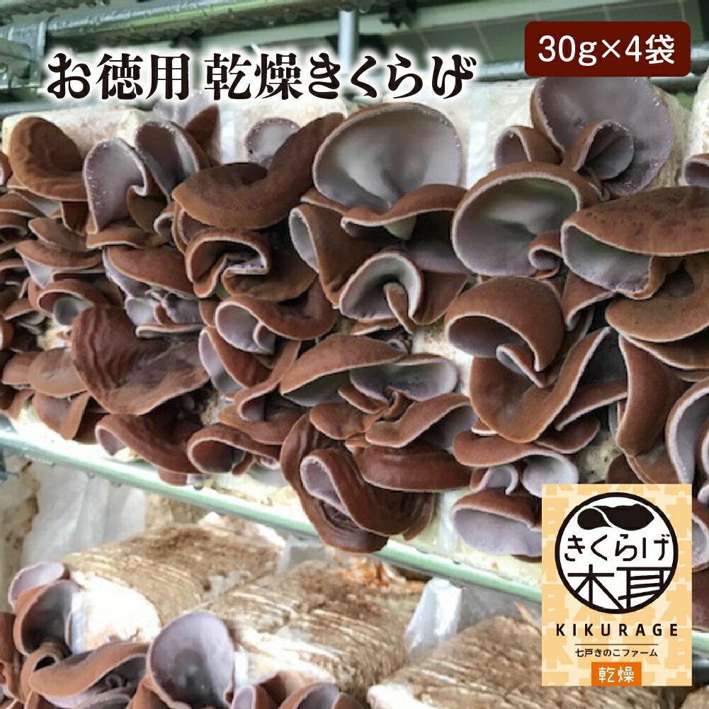 乾燥きくらげ（30g）×4袋 きのこ キクラゲ 木耳 食品 おかず 野菜 青森県 七戸町　【02402-0427】