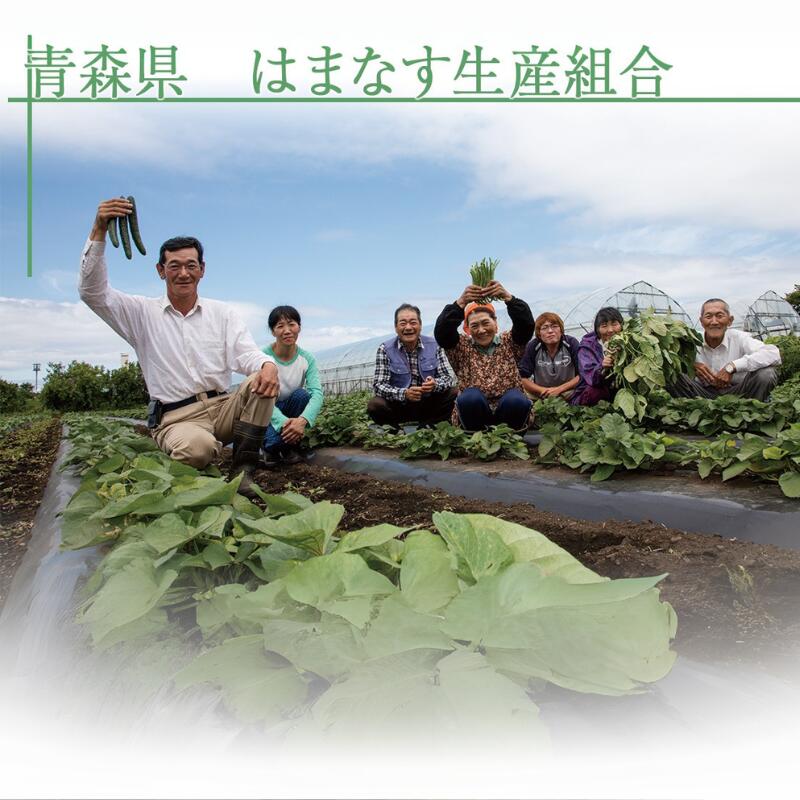 【ふるさと納税】農家直送　有機JAS季節の野菜4～6品目詰め合わせセット - 画像3