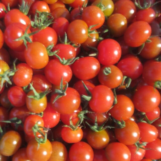 【ふるさと納税】100％トマトジュース　4本セット - 画像3