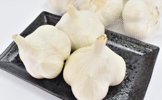 【ふるさと納税】東北町産　ホワイト6片にんにく　【02408-0062】# 大玉 にんにく 青森県 東北町 大魚 株式会社 - 画像2