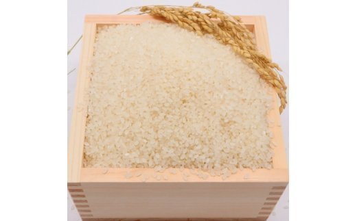 【ふるさと納税】＜令和7年産＞東北町産　はれわたり　精米 5kg～30kg 《選べる！単品/定期便》《5kg 10kg 15kg 20kg 30kg》 【02408-0093・95・97～100】# 米 お米 ご飯 ごはん こめ 弁当 おにぎり 国産米 県産米 ブランド米 国産 送料無料 青森県 東北町 中勇商店 - 画像2