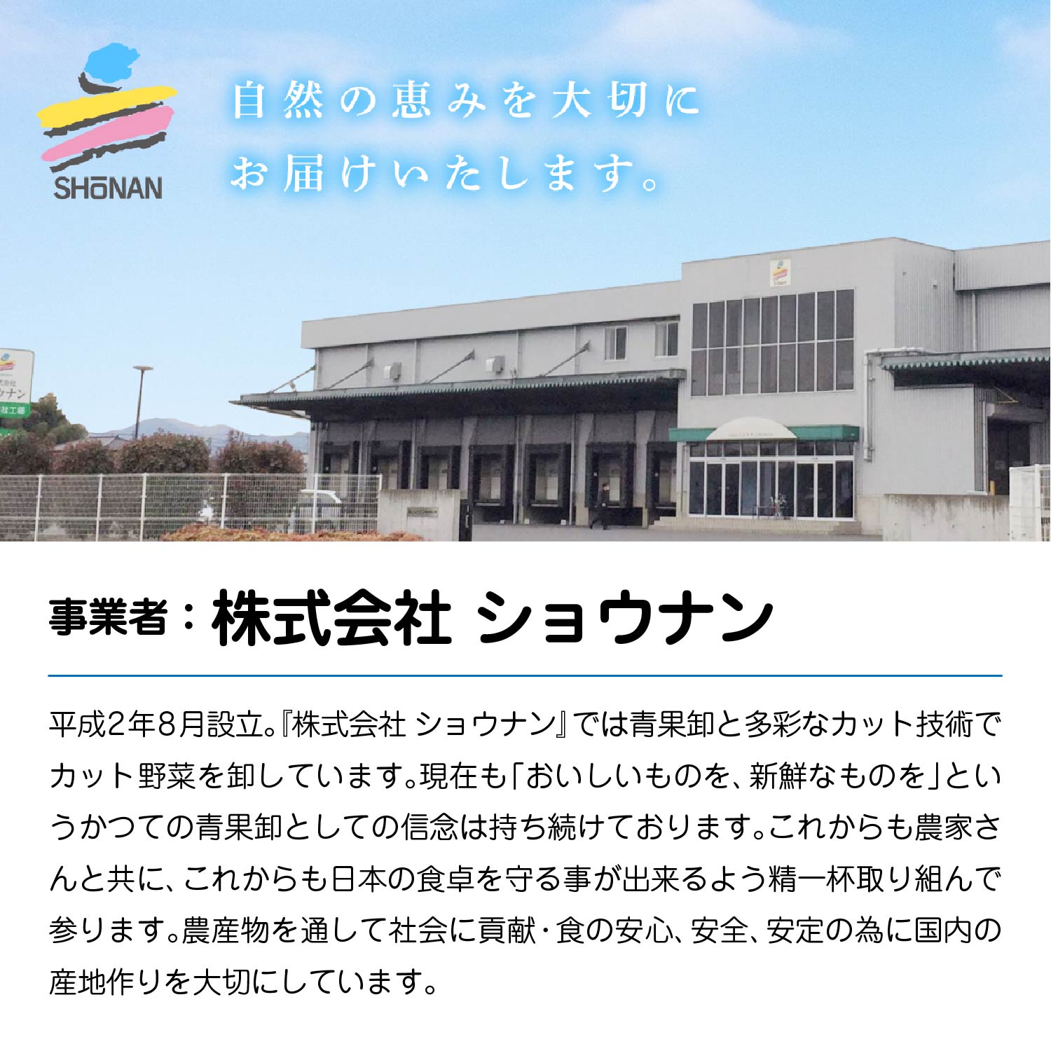【ふるさと納税】八百屋さんの黒にんにく　350g×2個　【02408-0138】 # 黒にんにく ニンニク 大蒜 白玉王 健康 東北町 青森県 ショウナン 送料無料 700g - 画像3