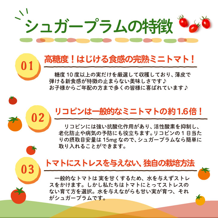 【ふるさと納税】青森県六ヶ所村産トマト シュガープラム 800g（200g×4P） 野菜 国産 ミニトマト サラダ パスタ 旬 新鮮 甘い グルメ お取り寄せ ギフト 訳あり お歳暮 返礼品 六ヶ所村 青森 送料無料 【あおもり花工房】 - 画像3