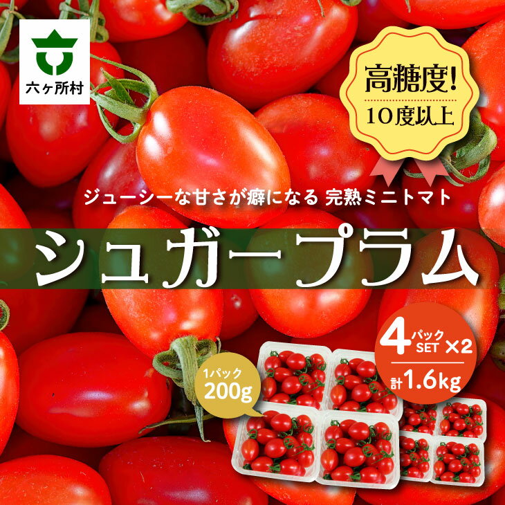 青森県六ヶ所村産トマト シュガープラム 1.6g（200g×8P） 野菜 国産 ミニトマト サラダ パスタ 旬 新鮮 甘い グルメ お取り寄せ ギフト 訳あり お歳暮 返礼品 六ヶ所村 青森 送料無料 【あおもり花工房】