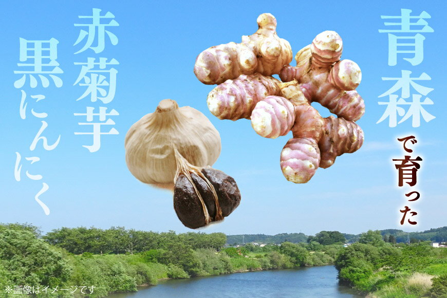 【ふるさと納税】 機能性表示食品 赤菊芋パウダー おいらせ黒にんにく 各1個 セット [柏崎青果 青森県 おいらせ町 oi02ayo620001] 菊芋パウダー にんにく きくいも 赤菊芋 黒にんにくパウダー スティック 小分け ボトル 不揃い - 画像3