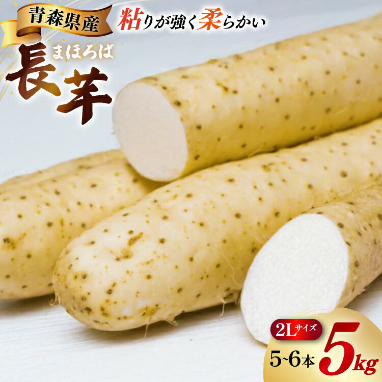 長芋 まほろば長芋 2L サイズ 5〜6本 約 5kg [柏崎青果 青森県 おいらせ町 oi02ayo620005] ながいも 長いも 5キロ とろろ