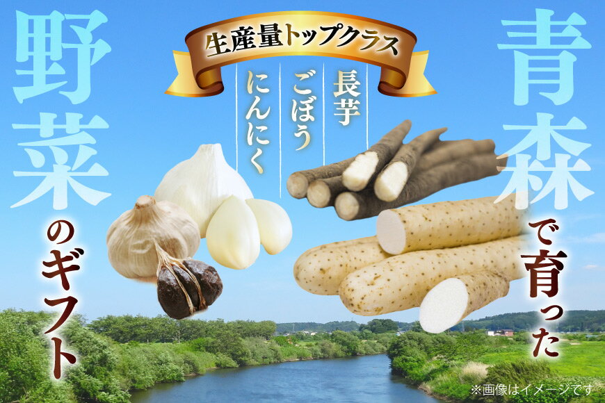 【ふるさと納税】 青森野菜 詰め合わせ セット C 全9種 [柏崎青果 青森県 おいらせ町 oi02ayo620008] 長芋 ながいも 長いも ごぼう 牛蒡 ニンニク にんにく スライス パウダー 粉末 切り干し大根 切干大根 - 画像3