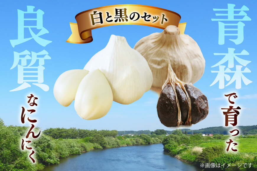 【ふるさと納税】 にんにく 青森 白黒にんにく セット Lサイズ 各3玉 化粧箱入り [柏崎青果 青森県 おいらせ町 oi02ayo620009] ニンニク 黒にんにく 黒ニンニク 詰め合わせ 国産 - 画像3