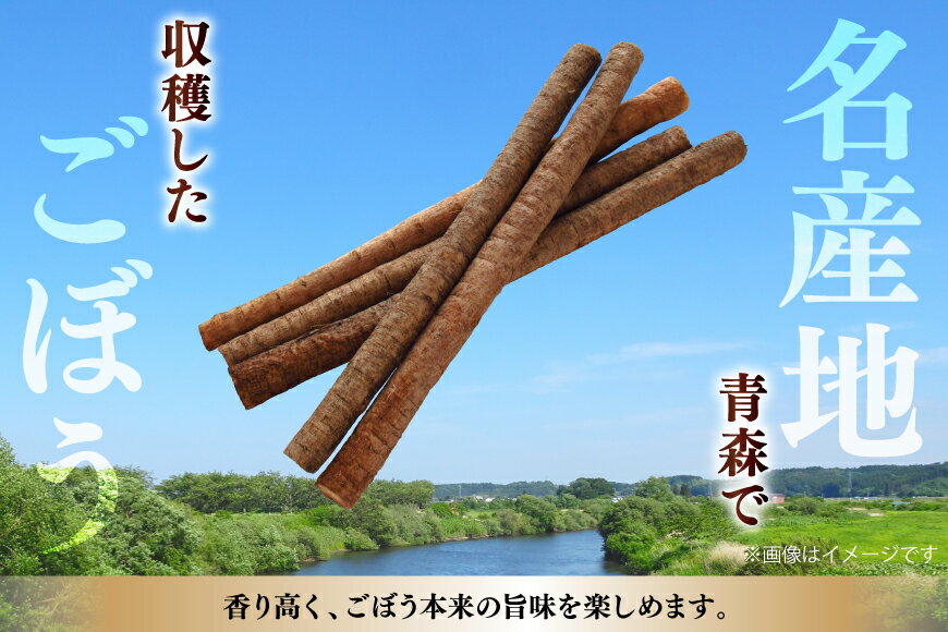 【ふるさと納税】 青森県産 乾燥 ごぼう 計40g(20g×2p) [柏崎青果 青森県 おいらせ町 oi02ayo620010] ゴボウ 牛蒡 簡易包装 小分け 長期保存 保存食 備蓄 常温 - 画像3